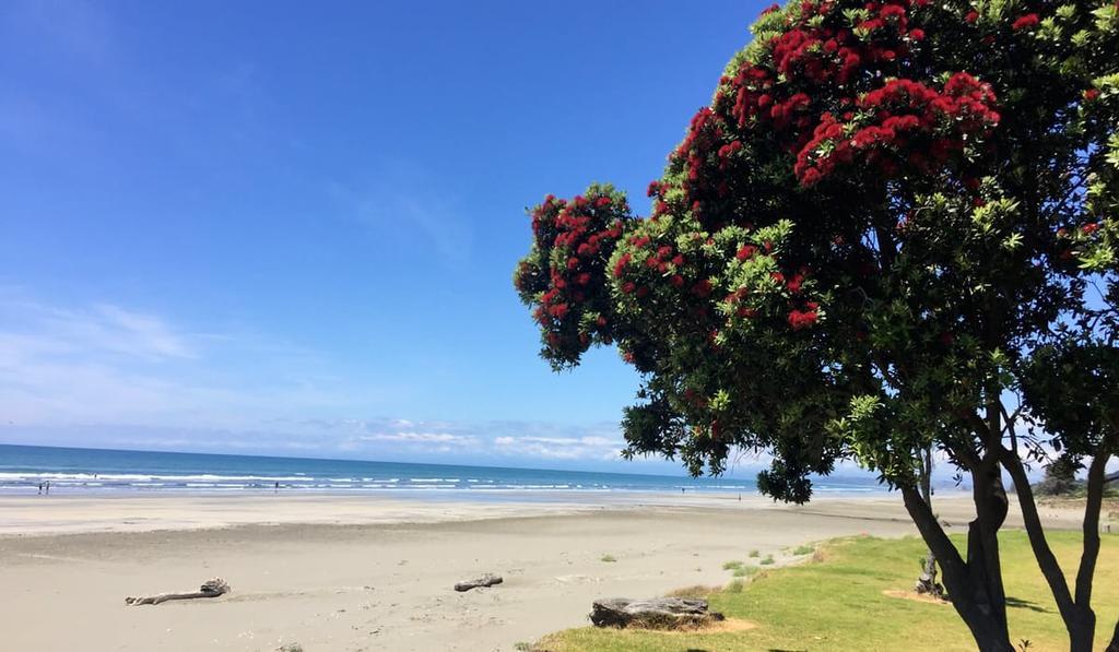 Whakatane Hotel Екстериор снимка